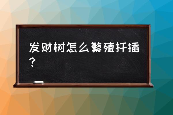 怎样扦插发财树的小苗 发财树怎么繁殖扦插？