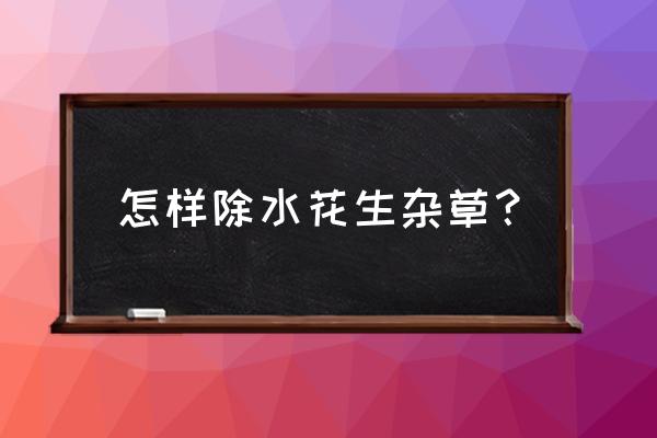 水稻田里长水花生用什么除草剂 怎样除水花生杂草？