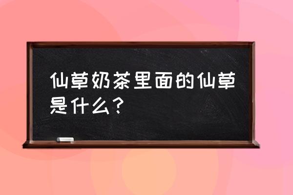 烧仙草奶茶原料是什么 仙草奶茶里面的仙草是什么？