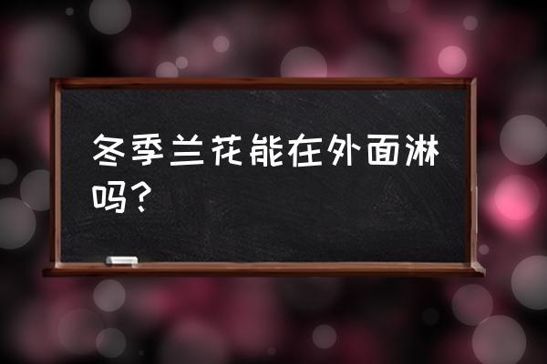 入冬了兰花能放户外吗 冬季兰花能在外面淋吗？