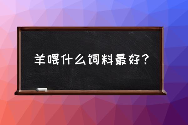 羊吃什么精饲料好 羊喂什么饲料最好？