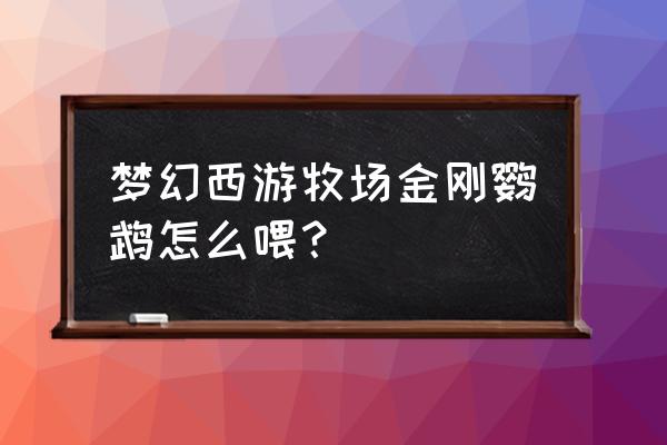 梦幻西游饲料放多少 梦幻西游牧场金刚鹦鹉怎么喂？