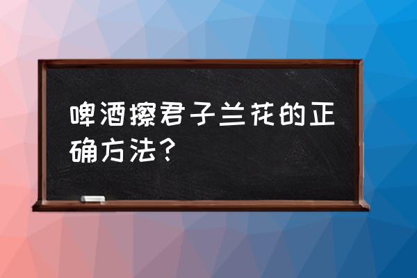 用啤酒擦君子兰的叶可以吗 啤酒擦君子兰花的正确方法？