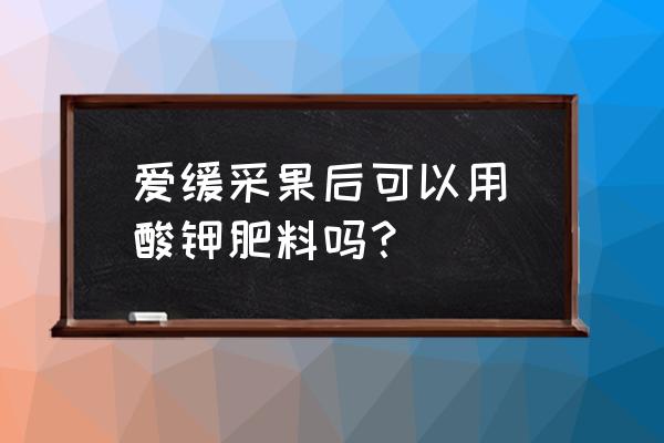 果树采摘后施什么肥料 爱缓采果后可以用蓅酸钾肥料吗？