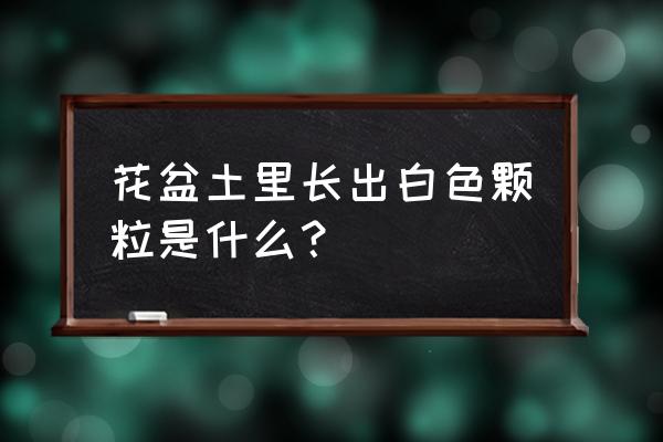 花盆土表面白色结晶是什么 花盆土里长出白色颗粒是什么？