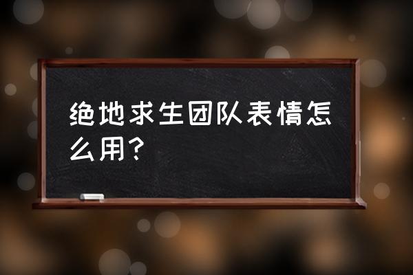 手机版绝地求生怎么添加表情 绝地求生团队表情怎么用？