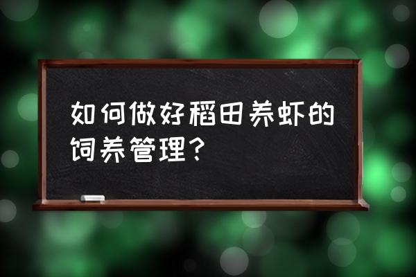 水田鱼塘怎样养虾 如何做好稻田养虾的饲养管理？