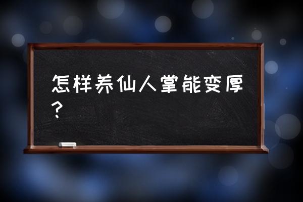 仙人掌怎样长得又厚又长 怎样养仙人掌能变厚？