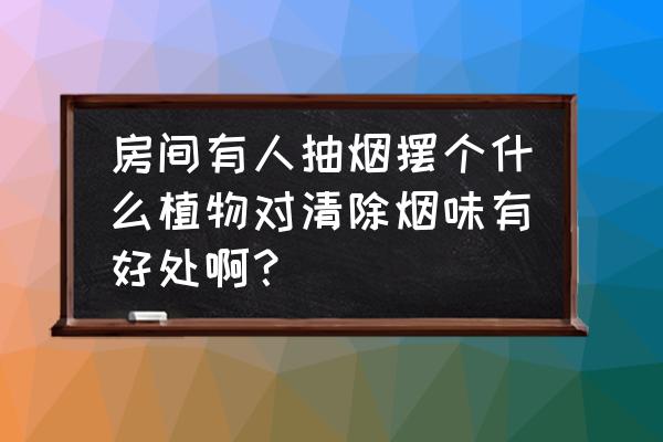 哪种盆栽可以吸收烟味净化空气 房间有人抽烟摆个什么植物对清除烟味有好处啊？