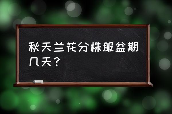 兰花分苗几天才能活 秋天兰花分株服盆期几天？