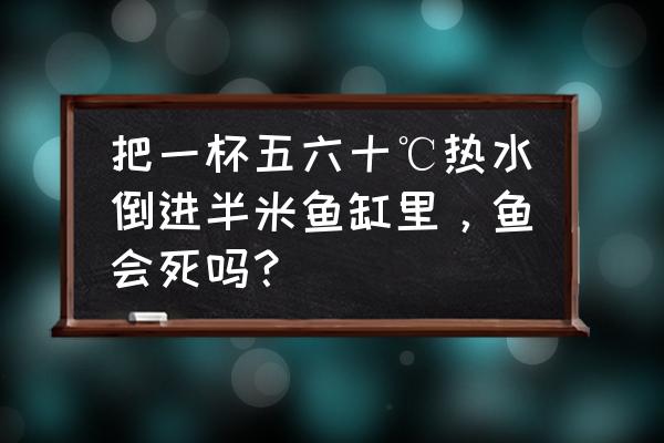 把杯子扔鱼缸里怎么着 把一杯五六十℃热水倒进半米鱼缸里，鱼会死吗？