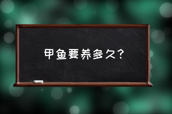 甲鱼养多久最好甲肴水产 甲鱼要养多久？