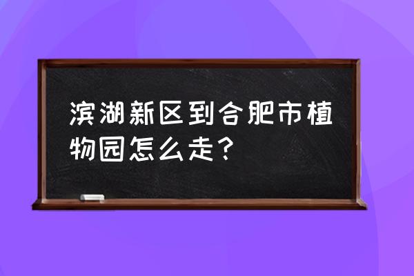 去合肥植物园座几号线地铁站 滨湖新区到合肥市植物园怎么走？