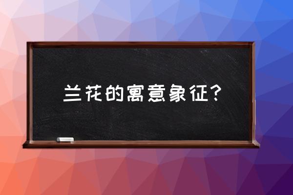 兰花草象征什么 兰花的寓意象征？