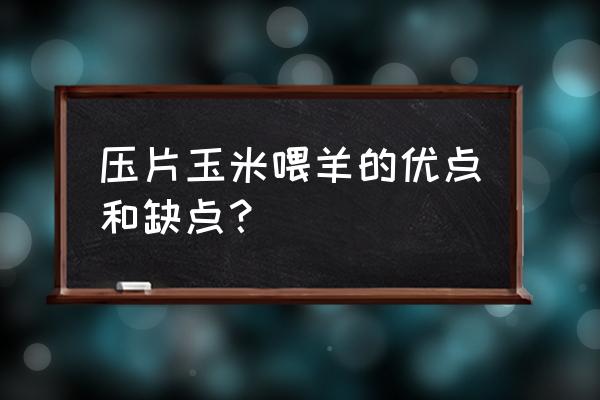 玉米压片饲料多少水分 压片玉米喂羊的优点和缺点？