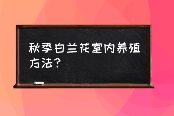 秋季室内栽哪些植物好 秋季白兰花室内养殖方法？