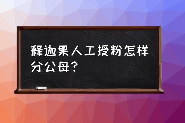 释迦果树如何授粉录像 释迦果人工授粉怎样分公母？