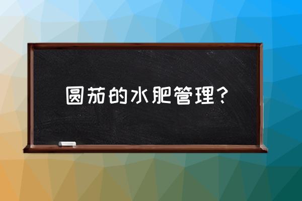 种茄子把复合肥施在根部行吗 圆茄的水肥管理？