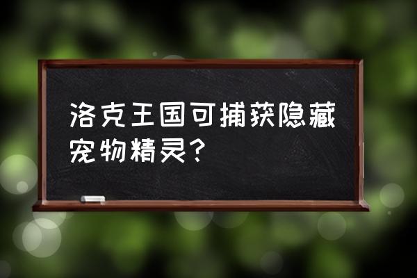 洛克王国哪里可以稀有宠物 洛克王国可捕获隐藏宠物精灵？