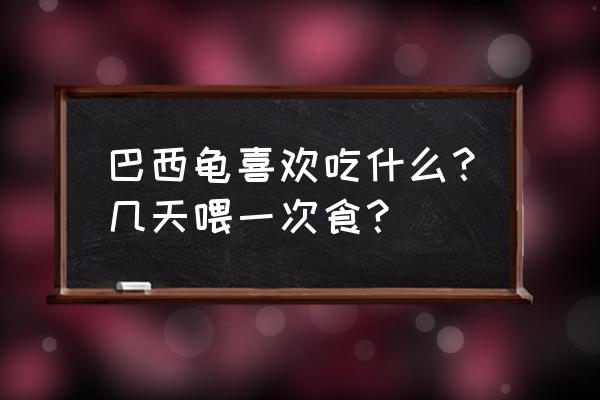 巴西龟吃饲料长的快吗 巴西龟喜欢吃什么？几天喂一次食？