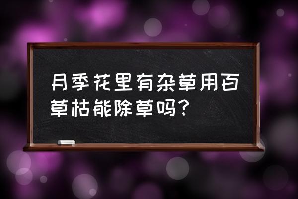 百草枯能管哪些草 月季花里有杂草用百草枯能除草吗？