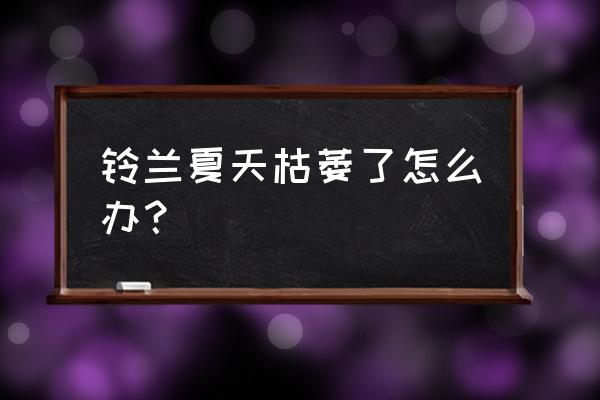 铃兰花夏季休眠怎么处理 铃兰夏天枯萎了怎么办？