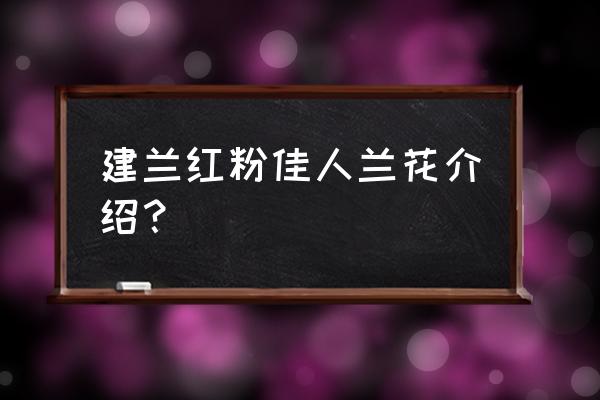 兰花花心粉色的值钱吗 建兰红粉佳人兰花介绍？