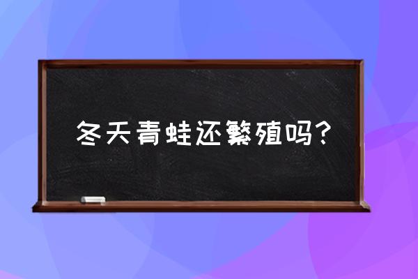 北方可以养殖青蛙吗 冬天青蛙还繁殖吗？