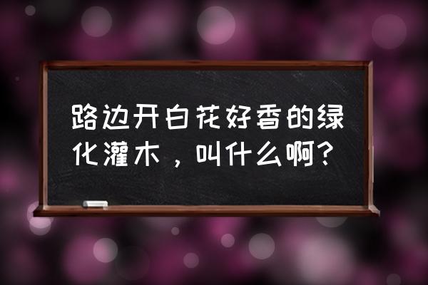 路边绿化带里的灌木叫什么名字 路边开白花好香的绿化灌木，叫什么啊？