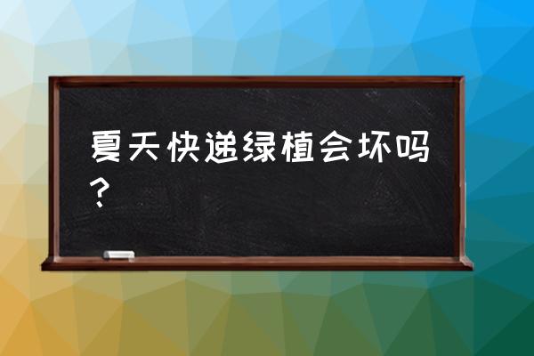 多肉植物可以寄快递吗 夏天快递绿植会坏吗？