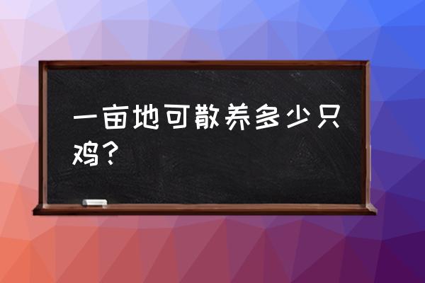 散养鸡一亩养多少只 一亩地可散养多少只鸡？