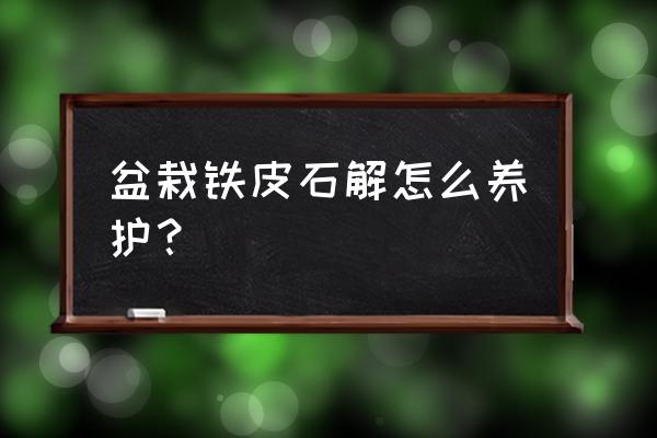 铁皮石斛的盆栽不知道怎么养 盆栽铁皮石解怎么养护？