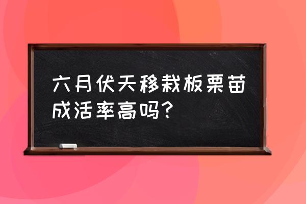 夏季成活率较低的苗木有哪些 六月伏天移栽板栗苗成活率高吗？