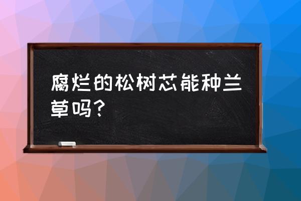 松树腐烂后的土能种兰花吗 腐烂的松树芯能种兰草吗？