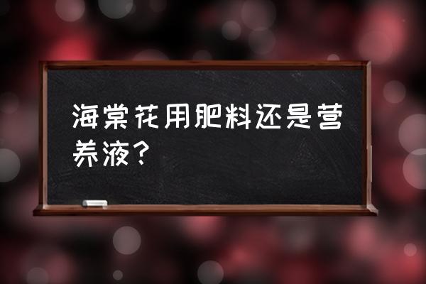 养花营养液和肥料哪个好 海棠花用肥料还是营养液？