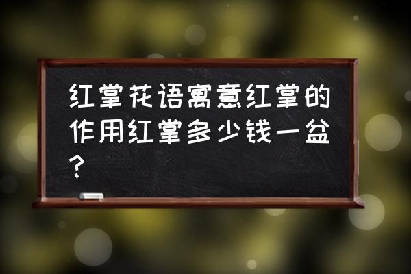 室内植物红掌价格多少 红掌花语寓意红掌的作用红掌多少钱一盆？