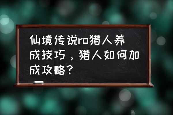 仙境传说多少级给洗点道具 仙境传说ro猎人养成技巧，猎人如何加成攻略？