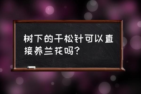 养兰花能用松针土吗 树下的干松针可以直接养兰花吗？