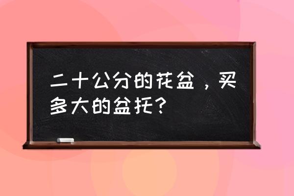 买花盆托盘怎么量? 二十公分的花盆，买多大的盆托？