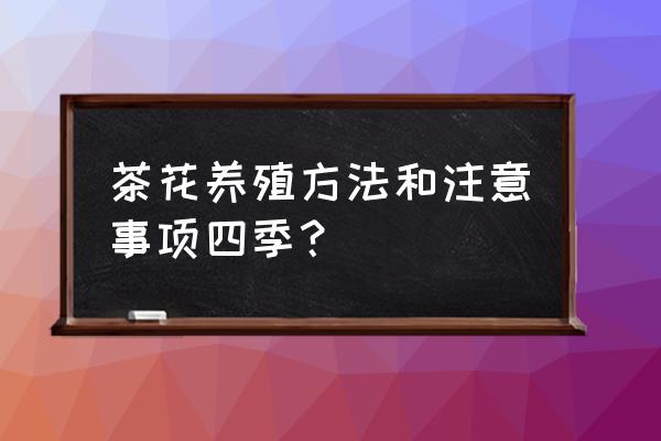 茶花的养殖方法和注意哪些 茶花养殖方法和注意事项四季？