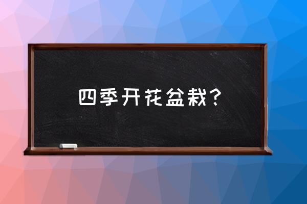 哪些室内盆栽适合一年四季 四季开花盆栽？