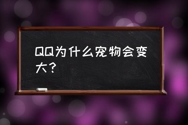 qq堂宠物变大有什么用 QQ为什么宠物会变大？