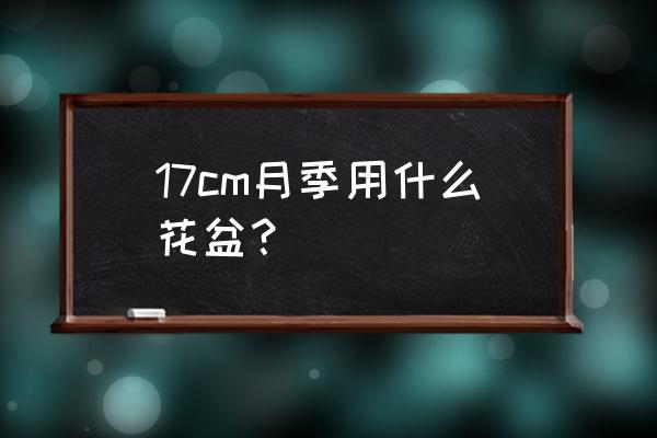 灌木月季需要多大盆 17cm月季用什么花盆？