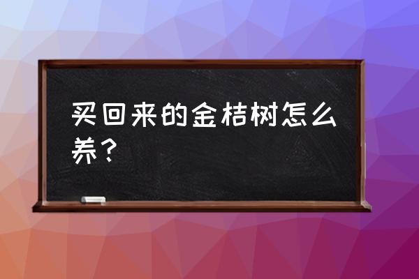 花木金桔上盆后怎样管理 买回来的金桔树怎么养？