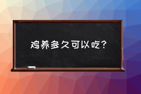 饲料鸡买回来养多久可吃 鸡养多久可以吃？