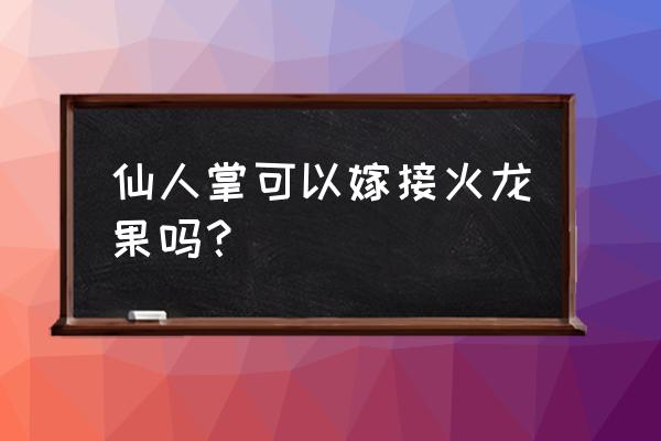 火龙果能嫁接到仙人掌上吗 仙人掌可以嫁接火龙果吗？