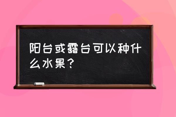 适合阳台盆栽的水果有哪些 阳台或露台可以种什么水果？