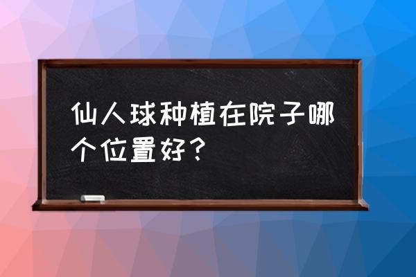 仙人球放阳台什么位置 仙人球种植在院子哪个位置好？