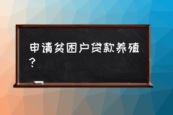 贫困户养殖业怎样贷款 申请贫困户贷款养殖？