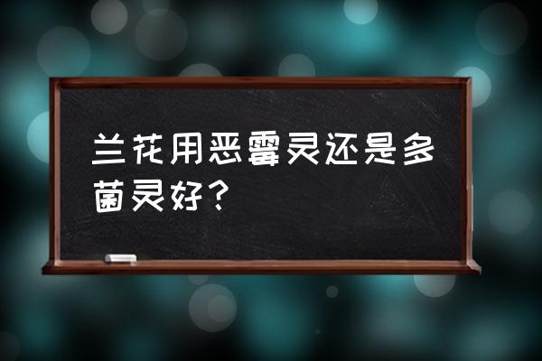 多菌灵能替代恶霉灵吗 兰花用恶霉灵还是多菌灵好？